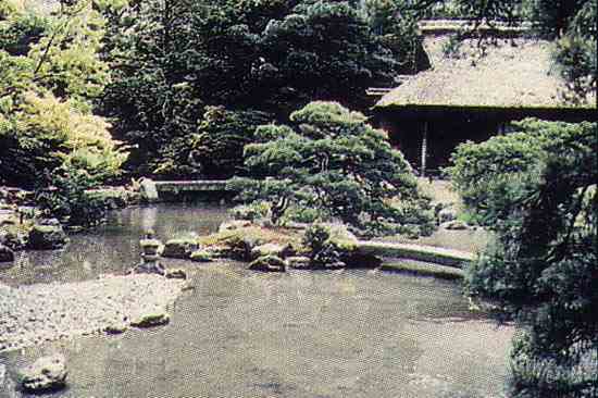A serene Japanese garden.